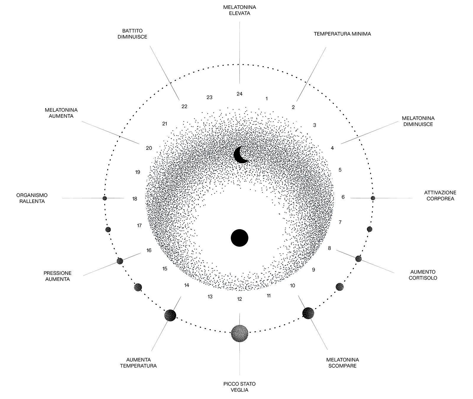 Schema ritmo circadiano