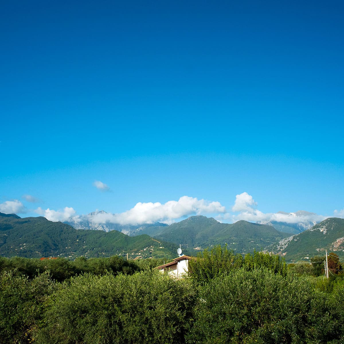 Villa Natalia 8